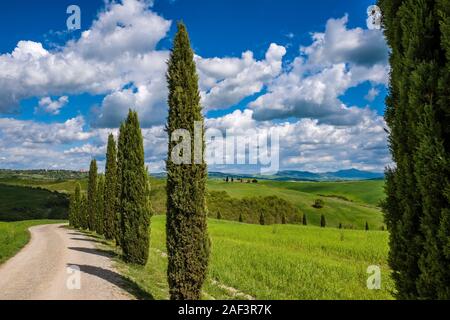 Typische hügelige Toskanische Landschaft im Val d'Orcia mit einem Cypress Avenue und bewölkter Himmel, Vitaleta Kapelle, Madonna di Vitaleta in der Ferne Stockfoto