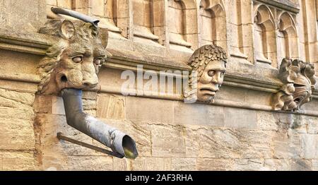 Regenrinne und grotesken Stein Köpfe auf einer Außenwand von der Universität Oxford Kirche, St. Maria, der Jungfrau, England. Stockfoto