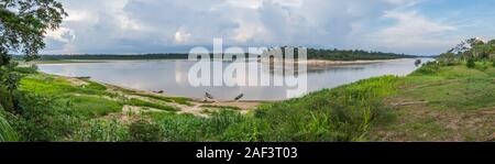 Sonnenuntergang am Fluss Javari, den Nebenfluss des Amazonas, Amazonien. Selva an der Grenze von Brasilien und Peru. Südamerika. Stockfoto