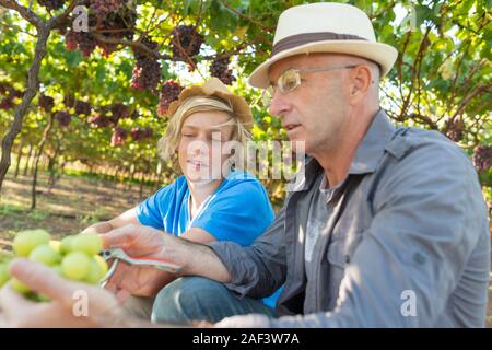 Winzer Vater teilen sie ihre Erfahrung mit Sohn im Weinberg. Family Winery. Winzer Mann in Strohhut sprechen mit Jungen. Zwei Generationen von Stockfoto