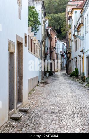 Traditionelle Kopfstein gepflasterte Gasse Straße windet sich durch Altstadt zwischen whatewashed Wand Gebäude in Tomar Portugal Stockfoto