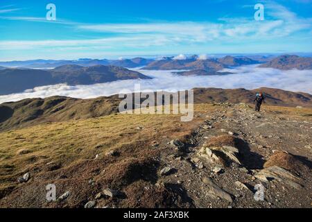 Ben Lomond, 974 m, ist ein Berg in den schottischen Highlands. Am östlichen Ufer des Loch Lomond gelegen, ist es der südlichste der Munros Stockfoto