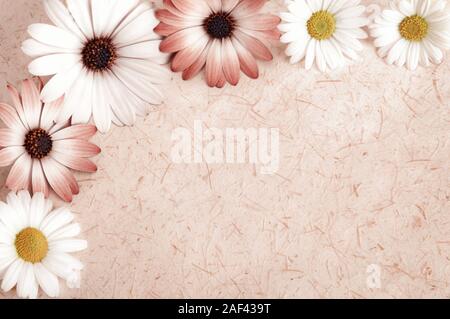 Hintergrund der rustikalen natürliche Papier oder Pergament mit einem Rahmen von Blumen und Blüten, geschnitten, Vintage Style mit getönten glatte Farben Stockfoto