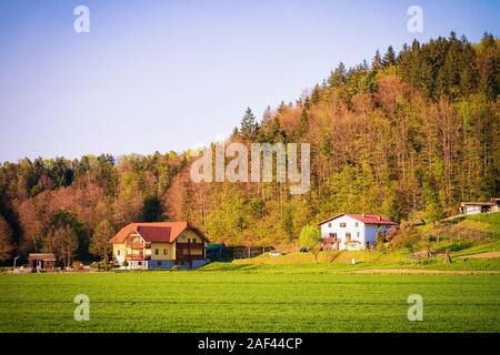 Häuser am Grünen Hügel in der Nähe von zgornja Kungota in Slowenien Stockfoto