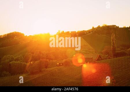 Sonnenuntergang in Herzform Weinstraße in Weinbergen in Slowenien Stockfoto