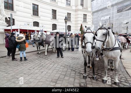 Wien street scene; Pferd und Schlitten auf gepflasterten Straßen, in der Hofburg, Wien Österreich Europa Stockfoto