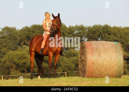 Lady Reiten ohne Sattel auf der Wiese Stockfoto