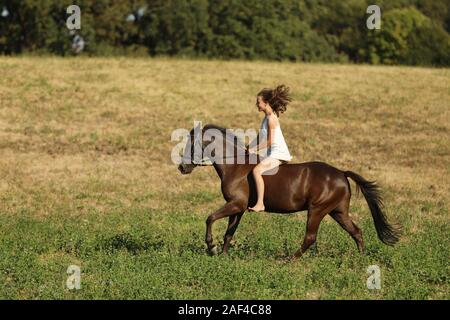 Junge Mädchen in weißem Kleid mit Pferd ohne Sattel durch die Wiese am Nachmittag Stockfoto