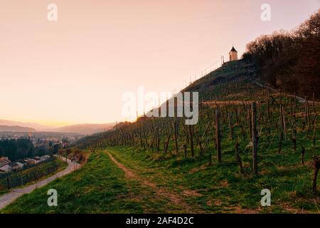 Romantische Landschaft mit Weinbergen in Maribor, Slowenien Stockfoto