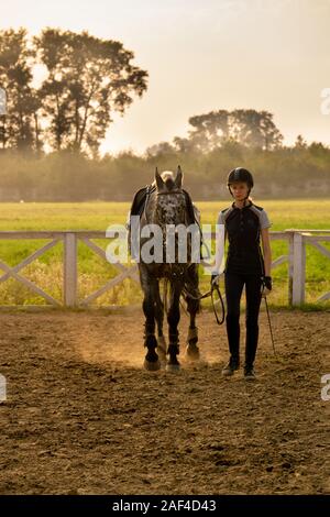 Schöne Mädchen Jockey stand neben ihr Pferd Tragen besonderer Uniform auf einen Himmel und grünen Feld Hintergrund auf einen Sonnenuntergang Stockfoto