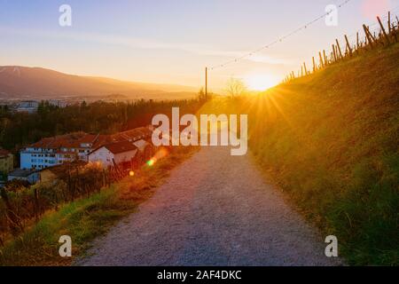 Romantischer Sonnenuntergang und Landschaft mit Weinbergen in Maribor Stockfoto