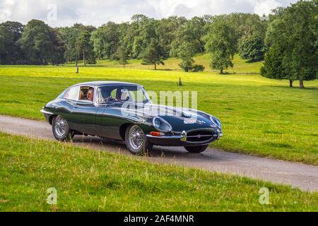 1964 60s Green British Jaguar 'E' Type; Oldtimer, historics, gehegt, Oldtimer, Sammlerstück restaurierter Oldtimer-Veteran, Fahrzeuge vergangener Zeiten, die für das historische Auto-Event von Mark Woodward in Leighton Hall, Carnforth, Großbritannien, eintreffen Stockfoto