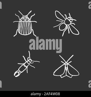 Insekten chalk Symbole gesetzt. Coloradokäfer, Honey Bee, earwig, Motte. Isolierte vektor Tafel Abbildungen Stock Vektor