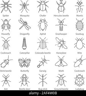 Insekten lineare Symbole gesetzt. Bugs. Entomologen Sammlung. Thin Line Kontur Symbole. Schmetterling, earwig, Hirsch bug, Phasmid, Motten, Ameisen, Mantis, Spider. Ich Stock Vektor