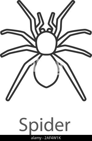 Spider lineare Symbol. Spinnen. Dünne Linie Abbildung. Kontur Symbol. Vektor isoliert Maßbild Stock Vektor