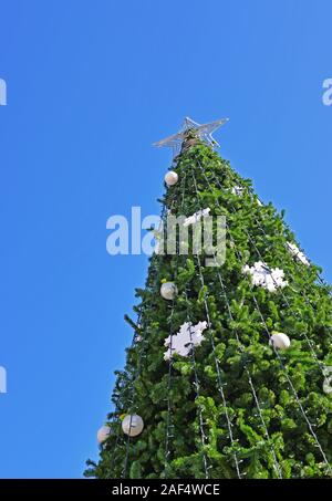 Christmas tree top gegen den blauen Himmel. Stockfoto