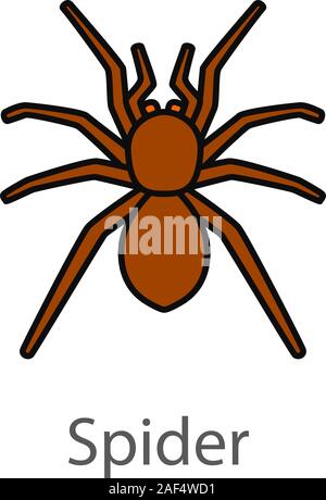 Spider Farbe Symbol. Spinnen. Isolierte Vector Illustration Stock Vektor