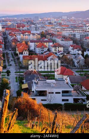 Romantische Landschaft mit Stadtbild mit Weinbergen in Maribor Stockfoto