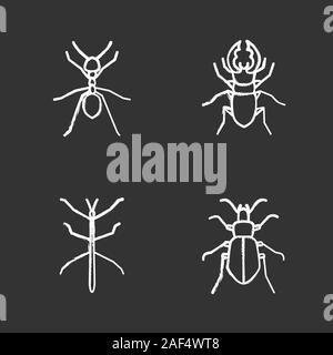 Insekten chalk Symbole gesetzt. Ant, Hirschkäfer, Bug, phasmid. Isolierte vektor Tafel Abbildungen Stock Vektor