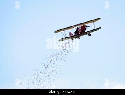 UK, Quorn - Juni 2015: G-Hatz Starrflügelflugzeug einmotorige Propellermaschine der Poppy Drop Stockfoto