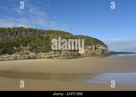 Wo Regenwald trifft auf das Meer. Die herrliche Küste in der Nähe der Kathedrale im Besitz der Maori Höhlen auf der Südinsel von Neuseeland. Stockfoto