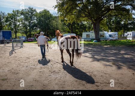 Horse Fair an Chaillac, Indre, Frankreich Stockfoto