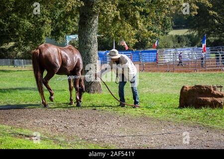 Man Waschen ein Pferd, Horse Fair an Chaillac, Indre, Frankreich Stockfoto