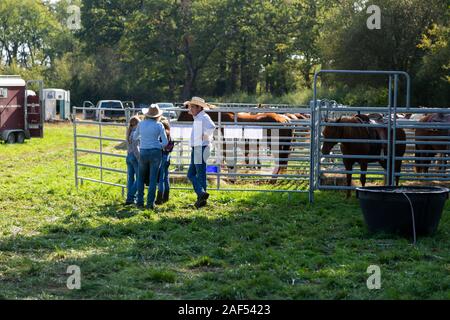 Eine Familie mit Pferden am Pferd Messe Chaillac, Indre, Frankreich Stockfoto