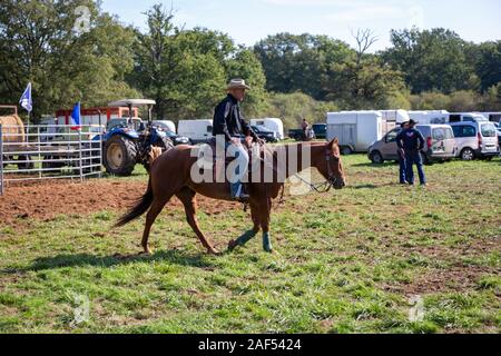 Horse Fair an Chaillac, Indre, Frankreich Stockfoto