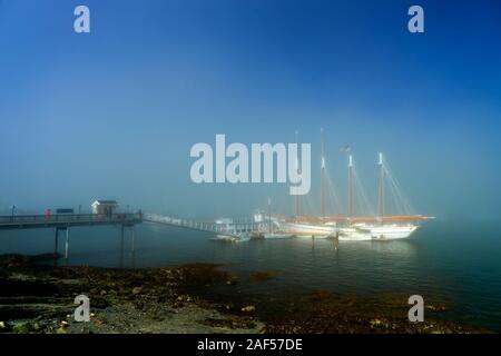 Vier Mast Schoner 'Margaret Todd', in Frenchman Bay auf einem nebligen Morgen verankert, Bar Harbor, Maine, USA. Stockfoto