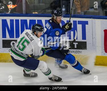 Florida Everblades vorwärts Cam Maclise (15) und Jacksonville Eisgruben steigt defenseman Jakob Cederholm (7) während der ersten Zeit der ein echl Professional Hockey Spiel am Veterans Memorial Arena in Jacksonville, Fla., Mittwoch, 04.12., 11, 2019. [Gary Lloyd McCullough/CSM] Stockfoto