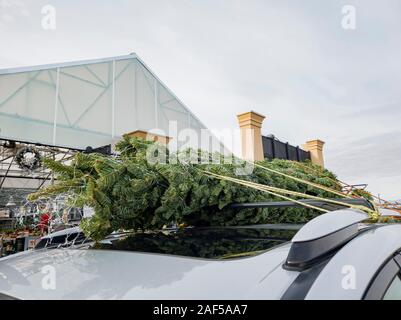Nahaufnahme von einem Weihnachtsbaum gefesselt auf einem Auto in Las Vegas, Nevada Stockfoto