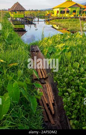 Ein Kanu liegt oben auf üppigen grünen Schwimmende Anlagen an maing Thauk Dorf in Inle-see in Myanmar (Burma), mit charakteristischen Pfahlbauten in der Ferne Stockfoto