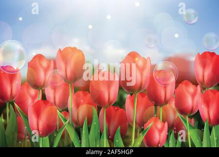 Rote Tulpen Blumen im Garten Stock Vektor