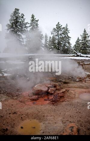 Red Wasserspeier thermische im Yellowstone National Park, USA Vent Stockfoto