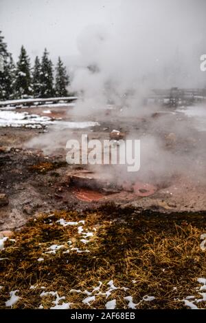 Red Wasserspeier thermische im Yellowstone National Park, USA Vent Stockfoto