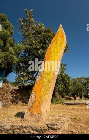 Äthiopien, Tigray, Axum (Aksum), Stelen Park, schiefen Stele in bunten Flechten bedeckt Stockfoto