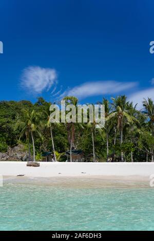 Am frühen Morgen Bild von Malcapuya Insel ohne Menschen, Coron, Philippinen Stockfoto