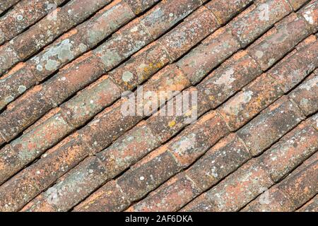 Alte Fliese mit Anzeichen von Schimmel Dach Detail Hintergrund Stockfoto