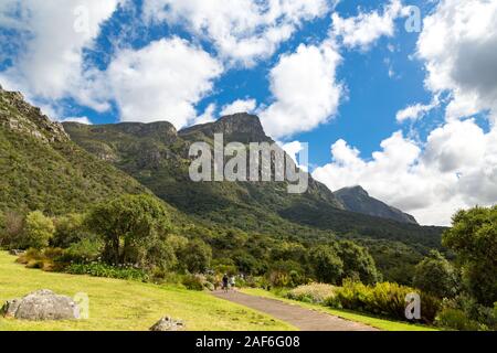 Blick aus dem Botanischen Garten Kirstenbosch auf die Berge und den Wald an einem sonnigen Tag, Kapstadt, Südafrika Stockfoto