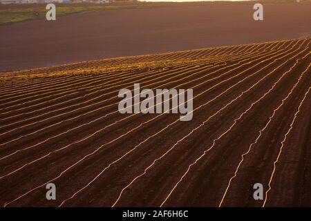 Landwirtschaftliches Feld in Jesreel Tal, Israel Stockfoto