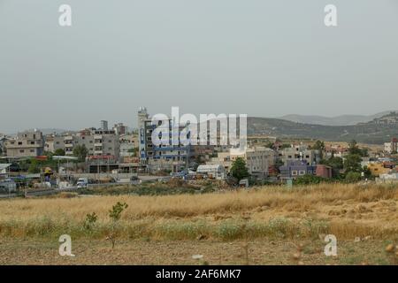 Palästinensischen Bewohner in einer steinigen Feld mit trockenen Unkraut und DISTELN fotografiert in der West Bank in der Nähe von gidi Kreuzung Palästina/Israel befallen Stockfoto