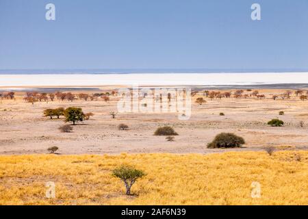 Kalahari Wüste und getrocknete Salzpfanne, Sowa Pan (Sua Pan) und Buschgebiet, von der Insel Kukonje, Makgadikgadi Pfannen, Botsuana, Südafrika, Afrika Stockfoto