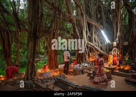 TAMIL NADU, Indien - Dezember 2019: Deepam Festival der Lichter in Anspruch, eine Gemeinschaft von Auroville Stockfoto