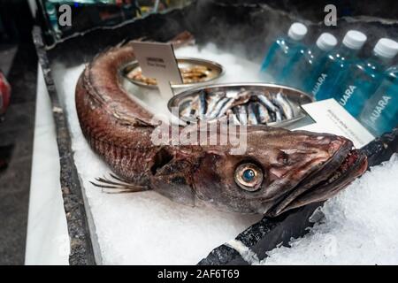 Frische ganze Seehecht Fisch auf Eis auf einem Markt Mercado San Miguel in Madrid, Spanien Abschaltdruck Stockfoto