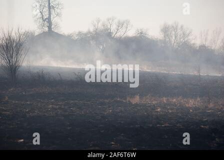 Brennende Feld im Rauch, alte trockenes Gras in Brand am Frühling, horizontale Schuß Stockfoto