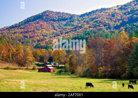 Eine Herbstansicht der Ackerflächen im Nantahala National Forest, North Carolina, USA. Stockfoto