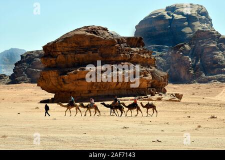 Wadi Rum, Jordanien - März 07, 2019: Gruppe der Frau einen Ausritt auf Kamelen in der desrt Landschaft des Wadi Rum nehmen Stockfoto
