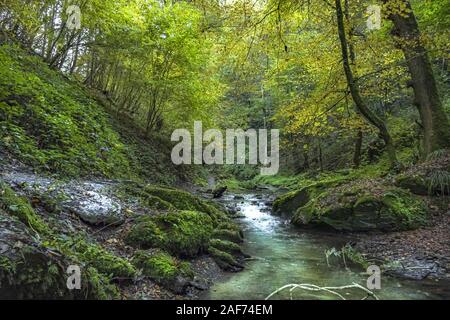 Ehrbachklamm, Deutschland, Rheinland-Pfalz, Traumschleife | Verwendung weltweit Stockfoto