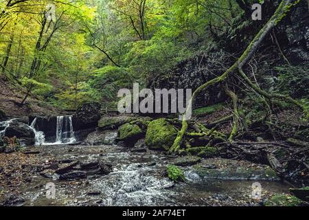 Ehrbachklamm, Deutschland, Rheinland-Pfalz, Traumschleife | Verwendung weltweit Stockfoto